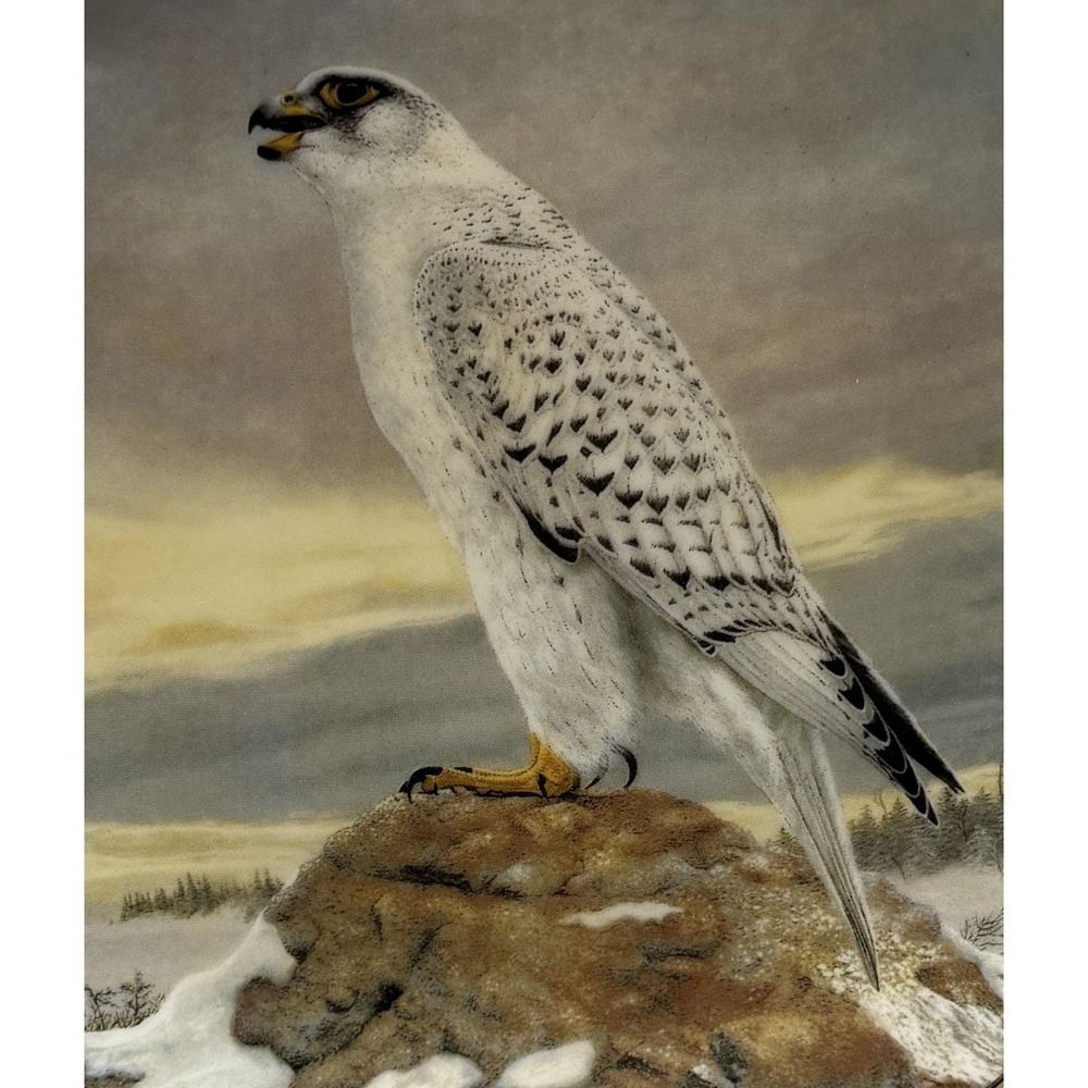Gyrfalcon 1991 W S George Fine China Charles Frace Soaring Majesty w‎ COA Box